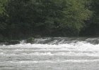 IMGP3438