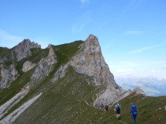 DSCN2908