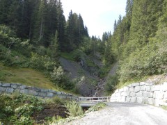 DSCN3050
