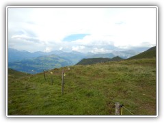 DSCN2986