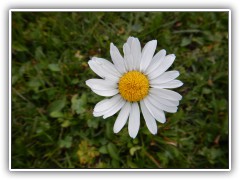 DSCN2997