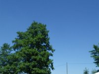 IMGP0148